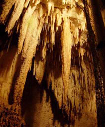 Aranui-Höhle in Waitomo