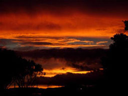 Sonneuntergang über der Bucht von Wellington